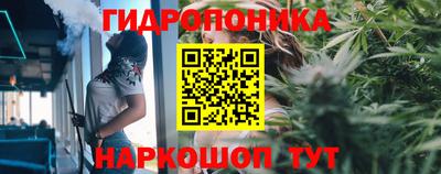 мяу мяу мука Краснокаменск