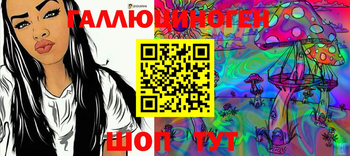 Псилоцибиновые грибы мухоморы  даркнет сайт  Вход с VPN  Чусовой  Галлюциногенные грибы Psilocybe 